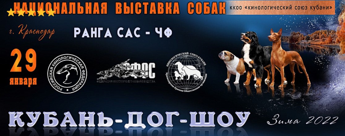 Выставка собак \"КУБАНЬ-ДОГ-ШОУ Зима 2022\" (Краснодар)